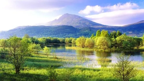 智能系统新型网络化